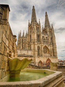 Servicio Técnico Fagor Burgos